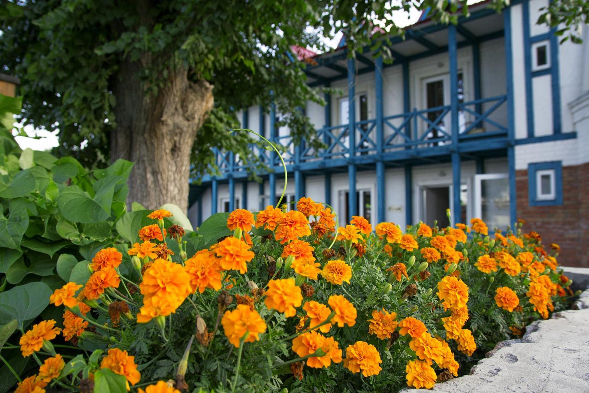 Mayak Resort Kam'yani Potoky Exterior photo
